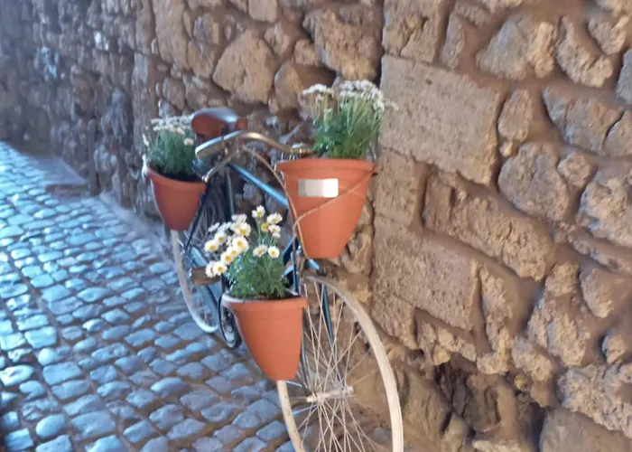 Casa Dei Papi Casa vacanze